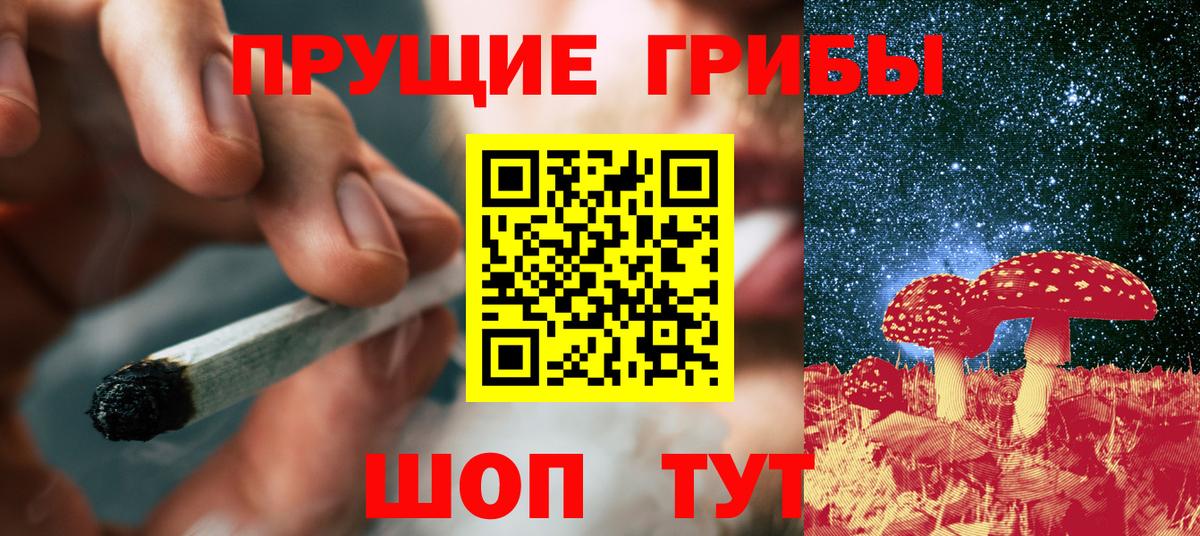 Урюпинск  магазин    Вход с VPN  Псилоцибиновые грибы Psilocybe 